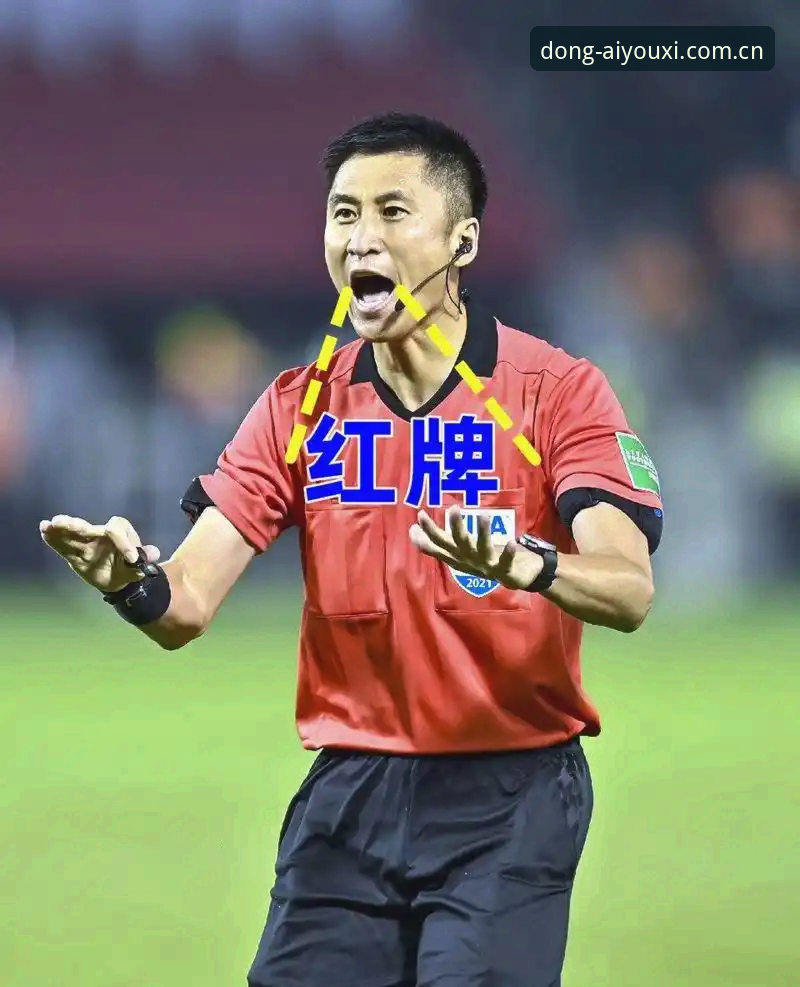 马宁世界杯执裁之路操作教程：从社交断联到裁判讲师评价体系